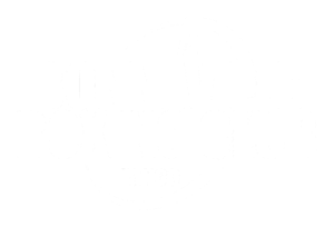 Logo Boxing Club Bonneville